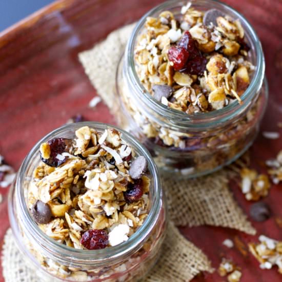 Dark Chocolate Cranberry Granola