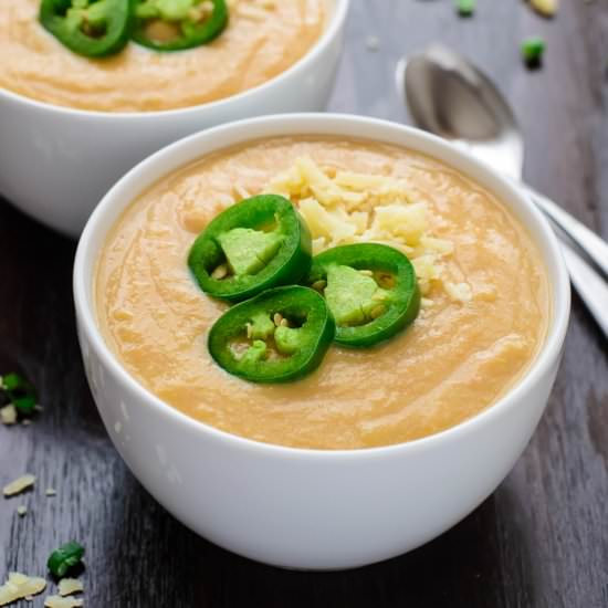 Slow Cooker Spicy Cheese Soup