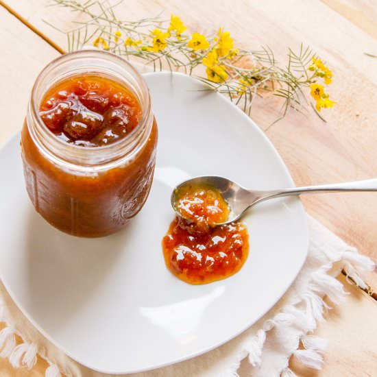 Dried Apricot Jam