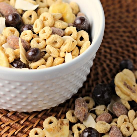Blueberry Banana Almond Trail Mix