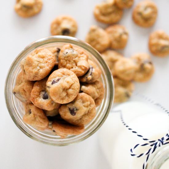 Chocolate Chip Cookie Sprinkles
