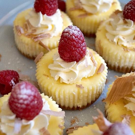 Vanilla Raspberry Cheesecake Minis
