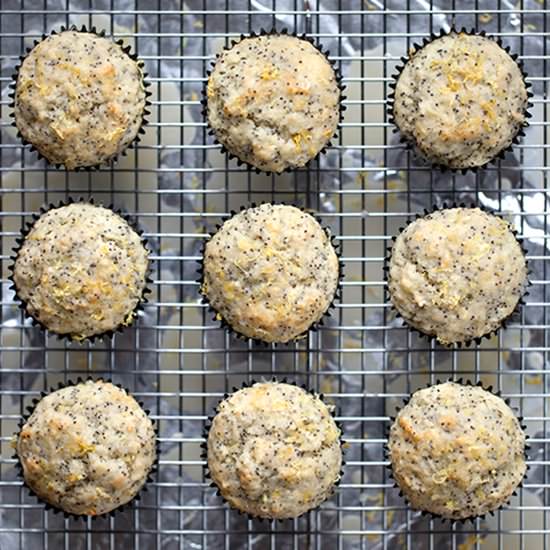 Lemon Poppy Muffins
