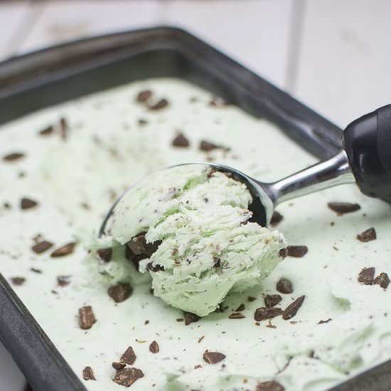 Mint Chocolate Chip Ice Cream