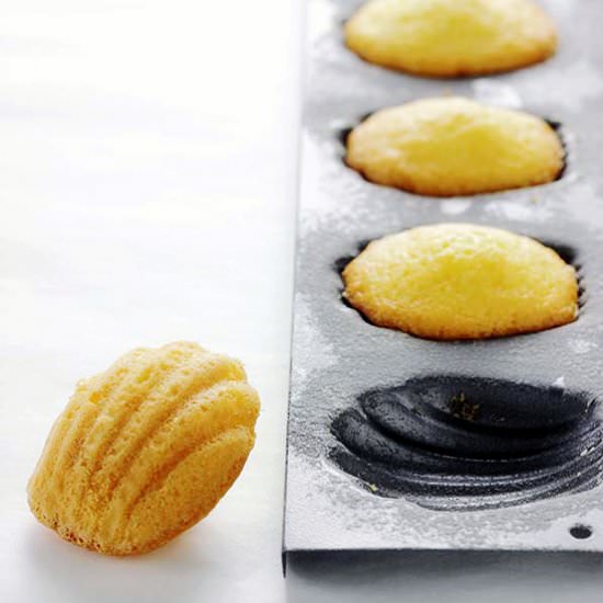 Coconut madeleines