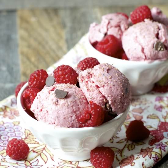 Raspberry Frozen Yogurt