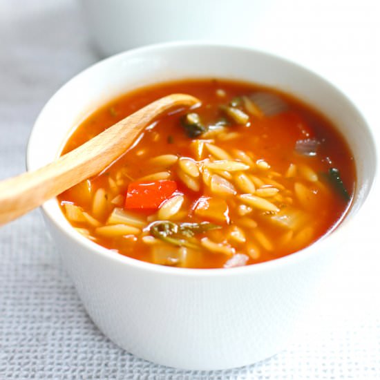Hearty Orzo Soup