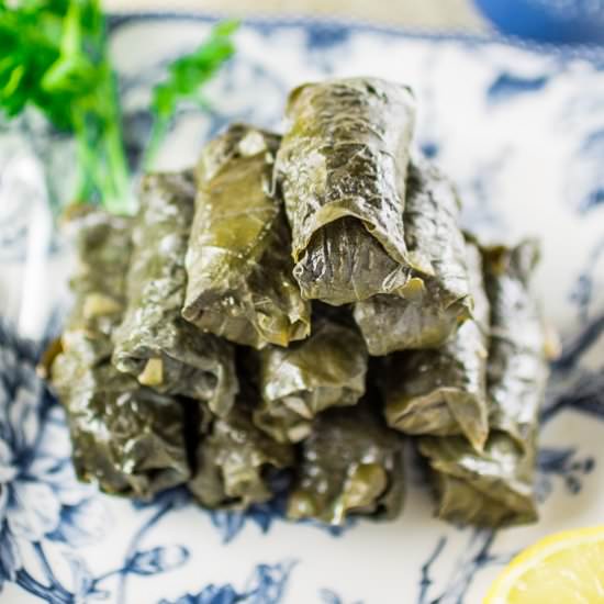 Meat & Rice Stuffed Grape Leaves