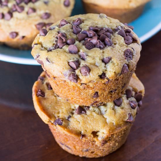 Chocolate Chip Muffins