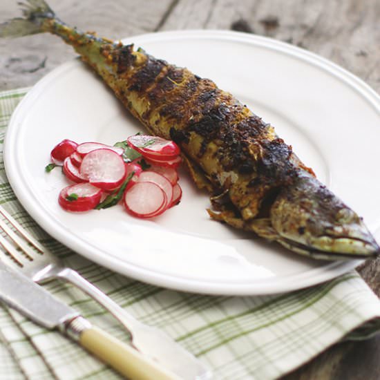 Mackerel Fry