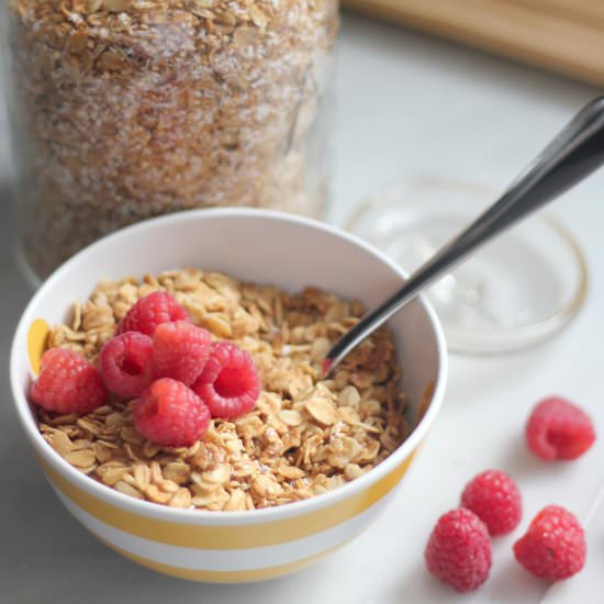 Toasted Coconut Quinoa Oats Cereal