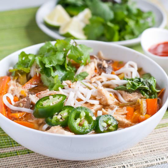 Asian Chicken Noodle Soup