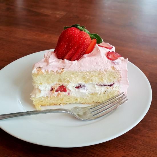 Homemade Sponge Cake