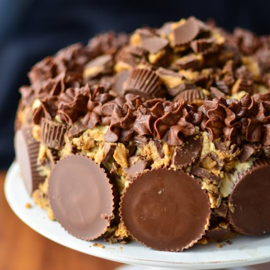 Reese’s Cup Cake