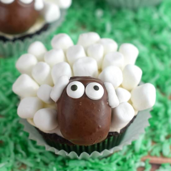 Sheep Cupcakes