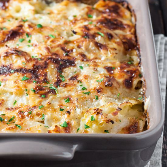 Potato Leek Gratin