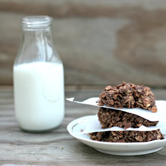 Peanut Butter Fudge No-Bake Cookies