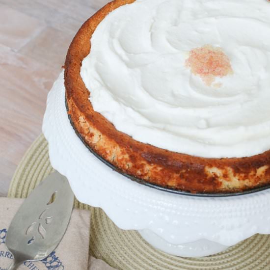 White Chocolate Lime Cheesecake