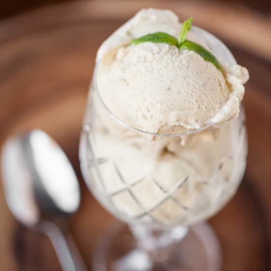 Extreme Vanilla Bean Ice Cream