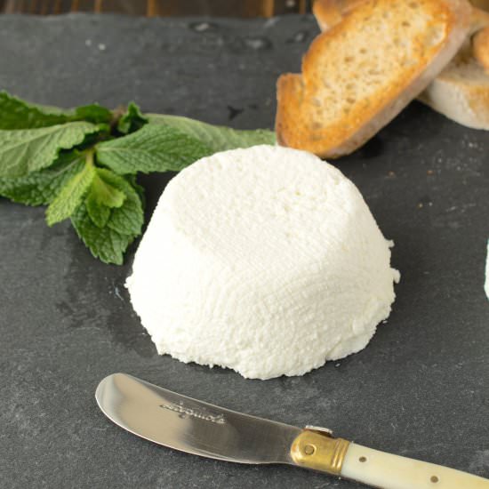 Homemade Ricotta