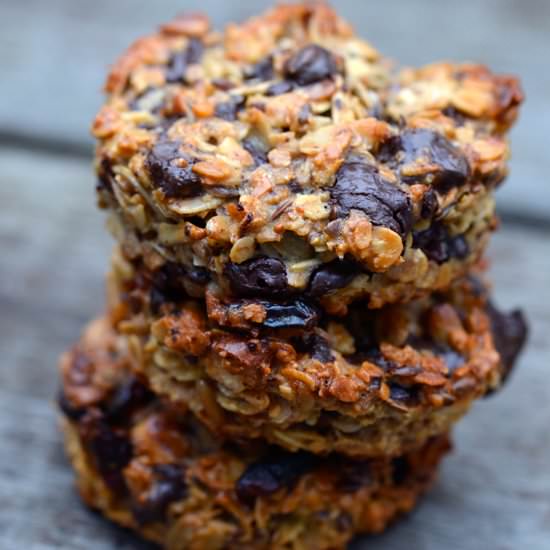 Granola Snack with Chocolate