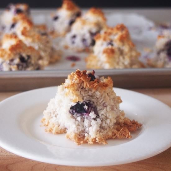 Blueberry Coconut Macaroons