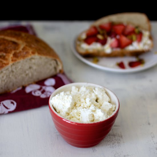 Homemade Ricotta Cheese