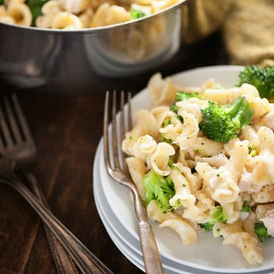 Chicken Broccoli Pasta