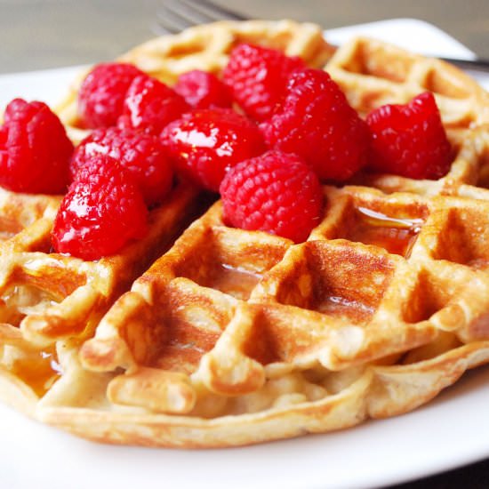 Belgian Protein Waffles