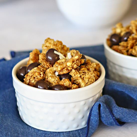 Dark Chocolate Pomegranate Granola