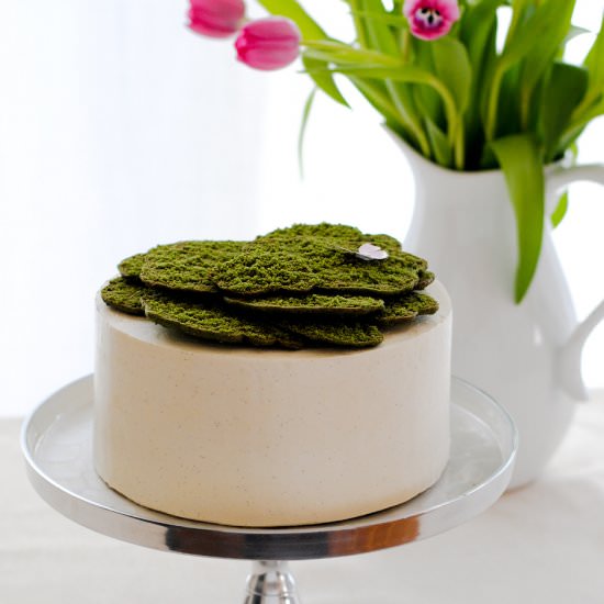 Edible Moss Cake