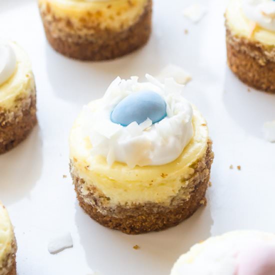 Mini Coconut Cream Cheesecakes