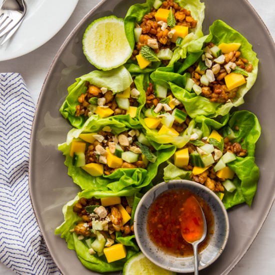 Mango Tempeh Lettuce Wraps