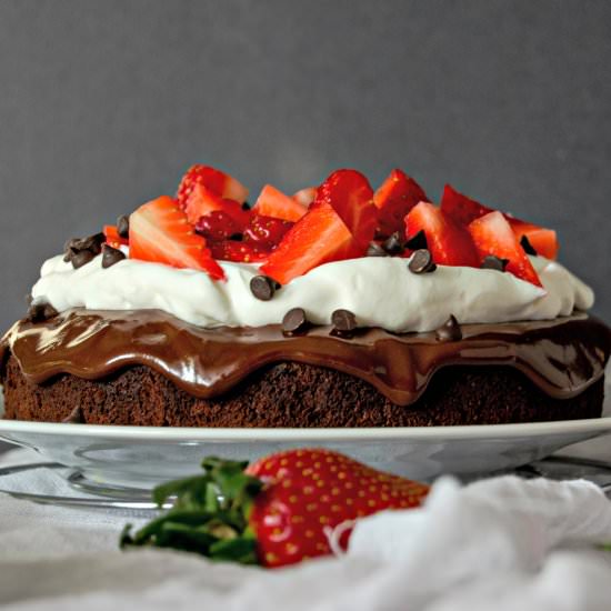 Brownie Cake