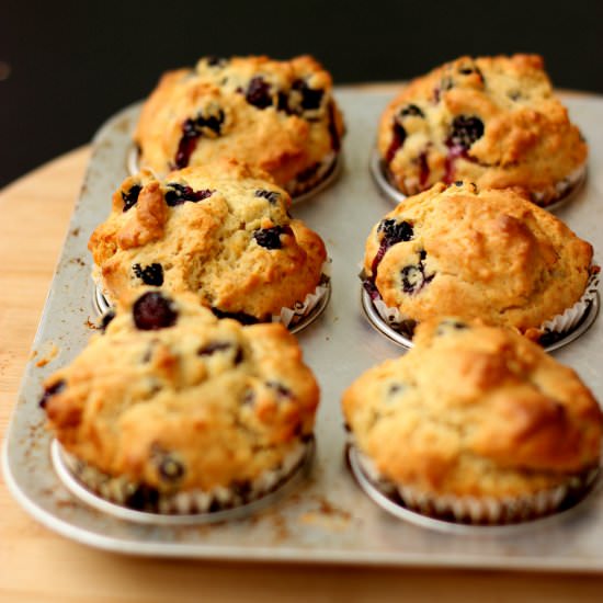 Moist and Soft Blueberry Muffins 蓝莓