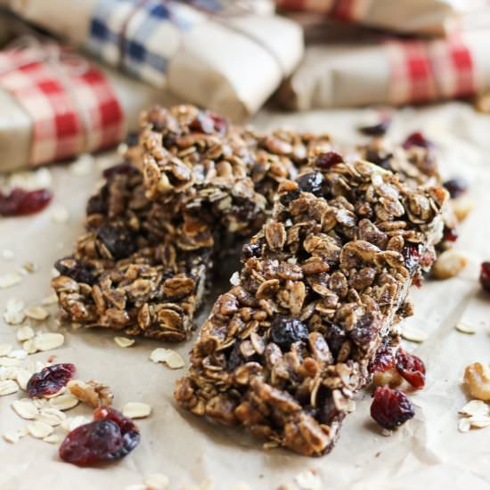 Dark Chocolate Protein Granola Bars