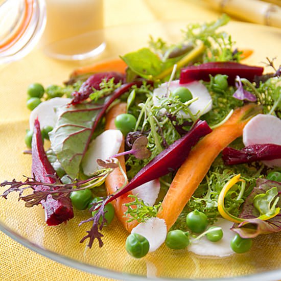 Spring Salad with Aigre-Doux