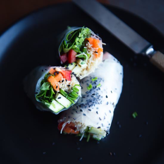 Vietnamese Summer Rolls