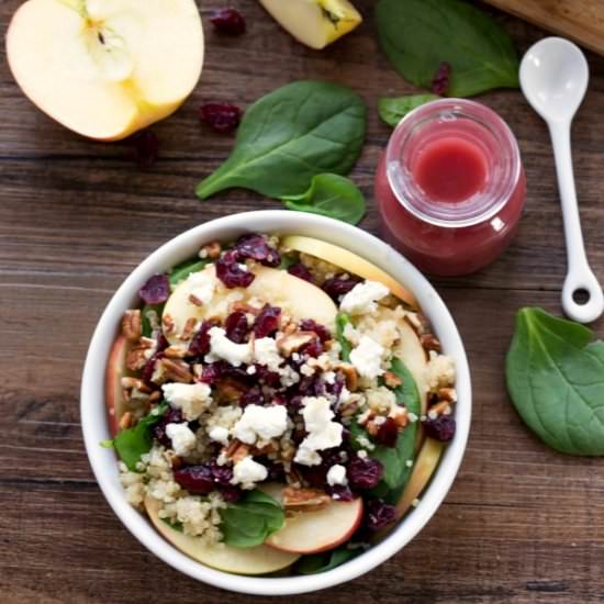 Cranberry Spinach Quinoa Salad