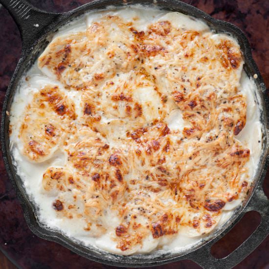 Cheesy Scalloped Potatoes