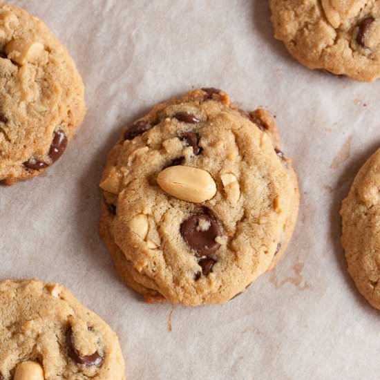 Chunky Peanut Chocolate Cookies