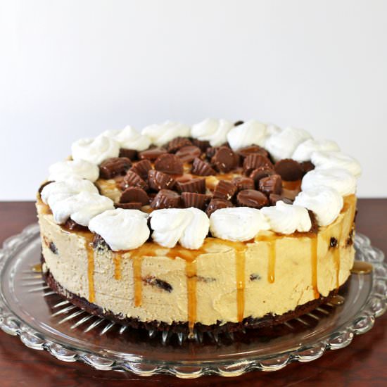 Peanut Butter Brownie No Bake Cheesecake
