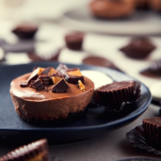PB Cup Chocolate Cheesecakes