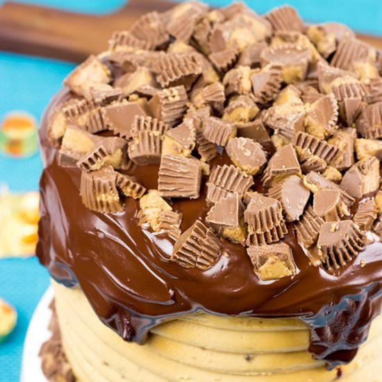 Chocolate Peanut Butter Cake