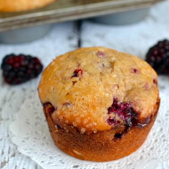 Blackberry Yogurt Muffins