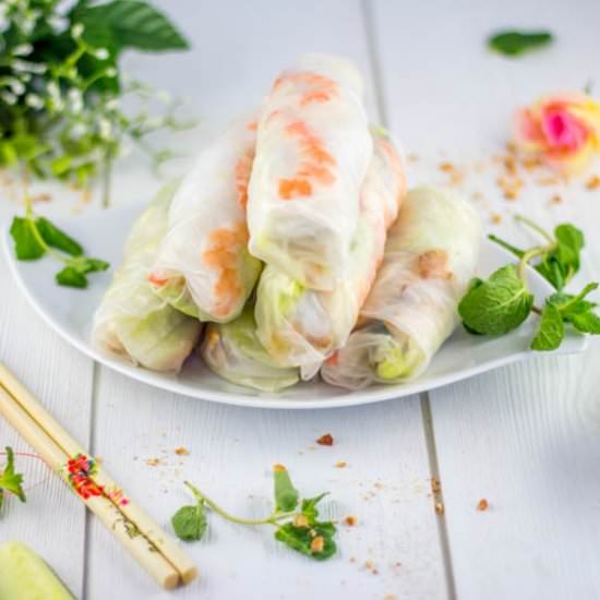 Chicken Spring Rolls