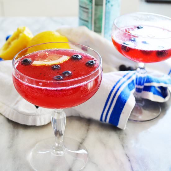 Blueberry Lemon Fizz