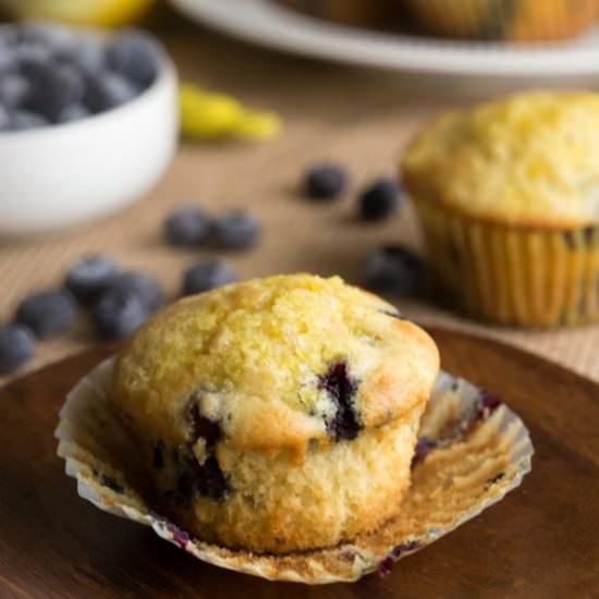 Lemon Blueberry Ricotta Muffins