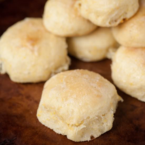 Cornmeal Yeast Rolls