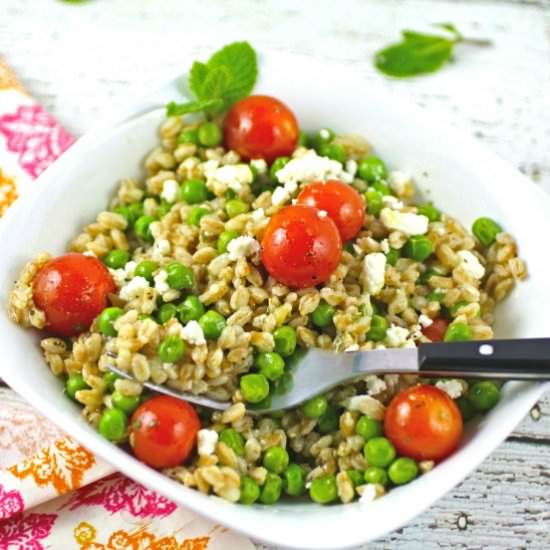 Farro and Pea Salad